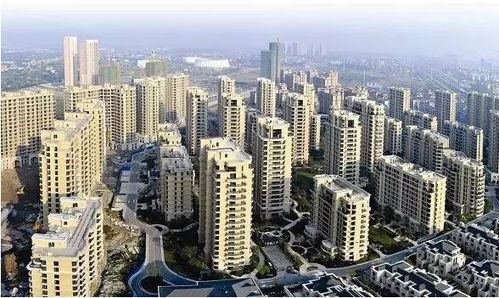 国庆光看不买 网红盘入市 改善户型歇菜