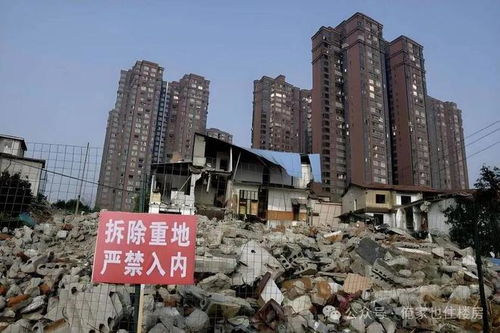 男子继承无血缘老人北京5套房等全部财产