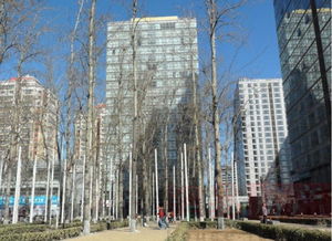 橡树公馆 北京橡树公馆配套实景图,样板间,效果图,户型图 北京网易房产