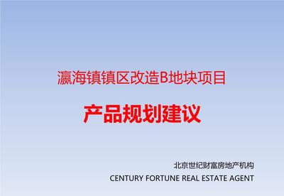 北京瀛海镇镇区改造B地块项目产品规划建议.ppt